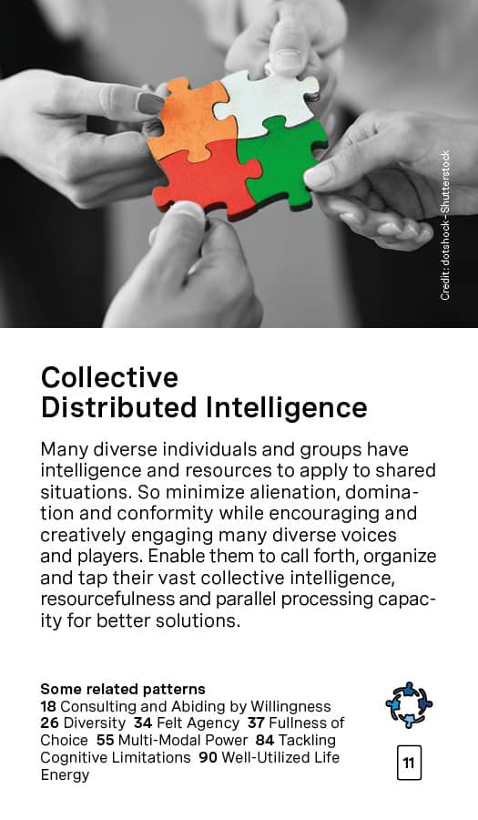 Collective Distributed Intelligence Card