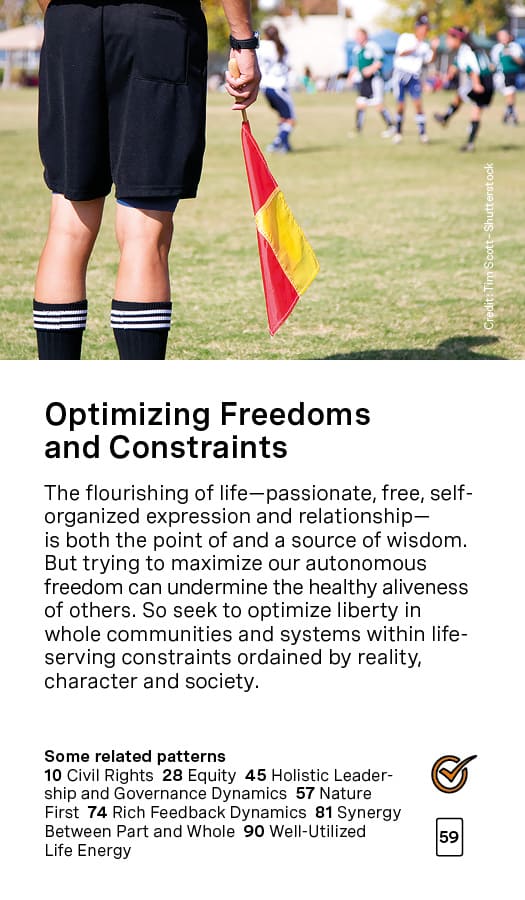 Optimizing Freedoms and Constraints Card