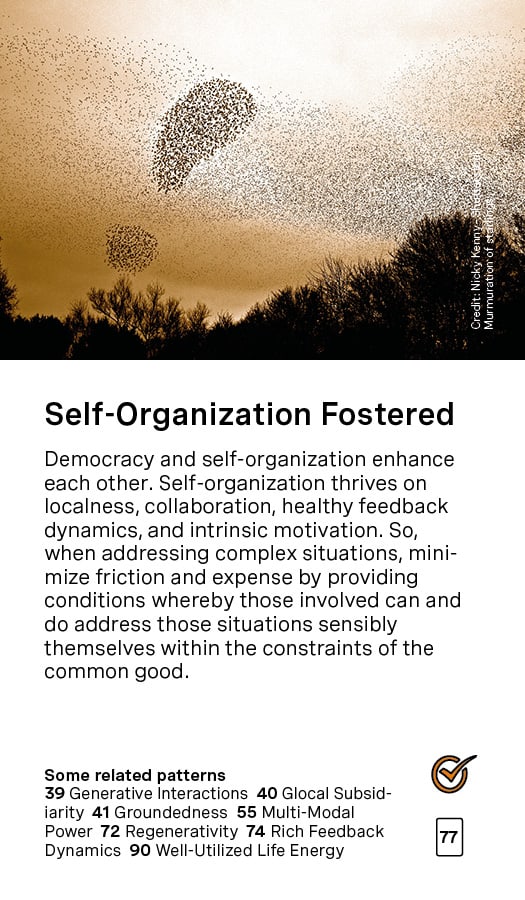 Self-Organization Fostered Card