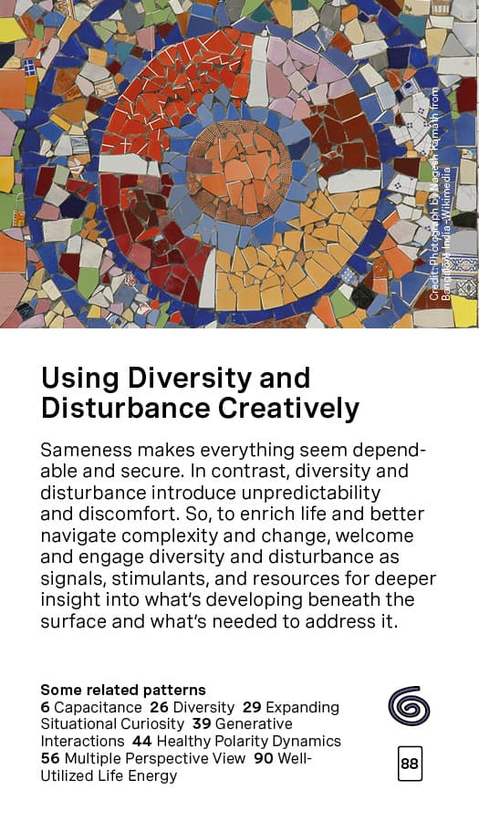 Using Diversity and Disturbance Creatively Card