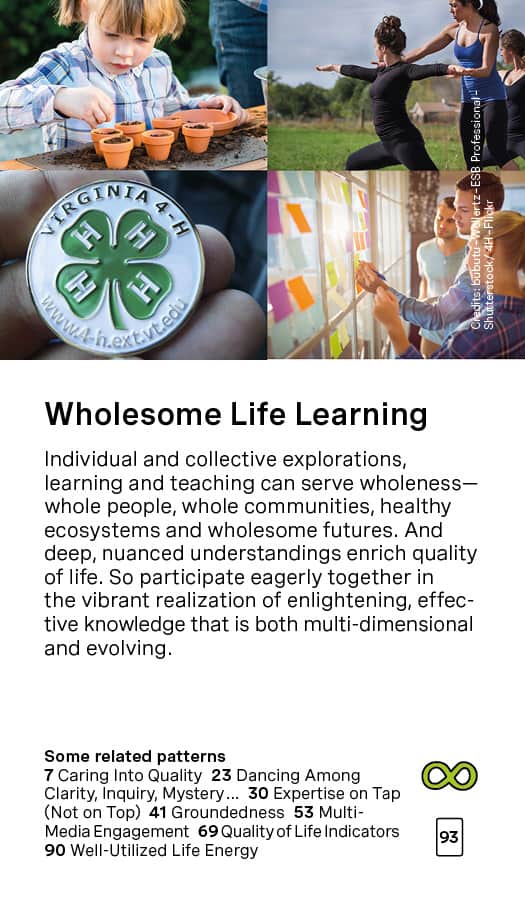 Wholesome Life Learning Card